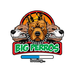 BIG PERROS