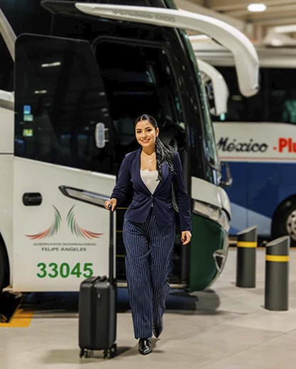 Conectividad Terrestre